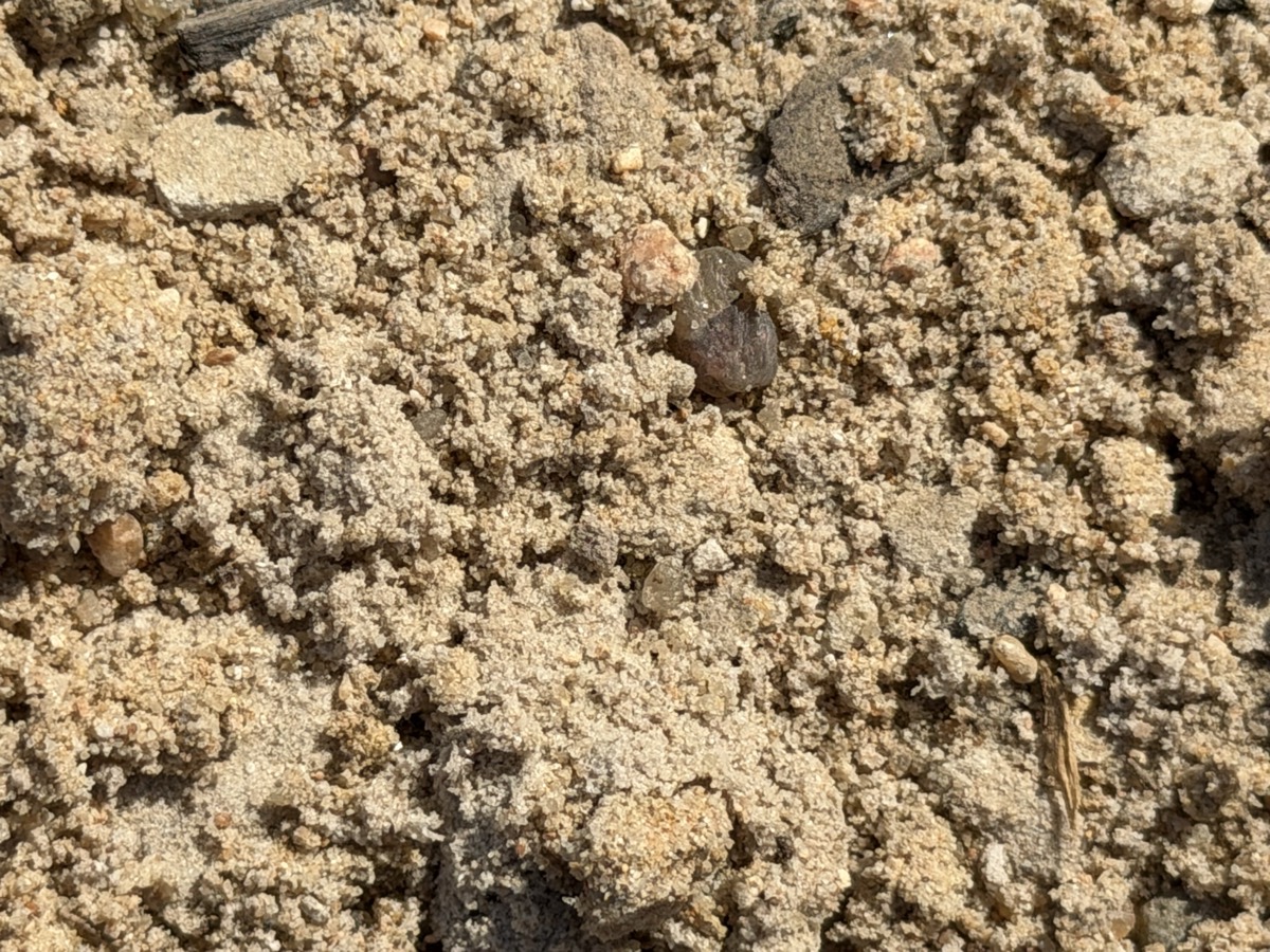 Bank Sand