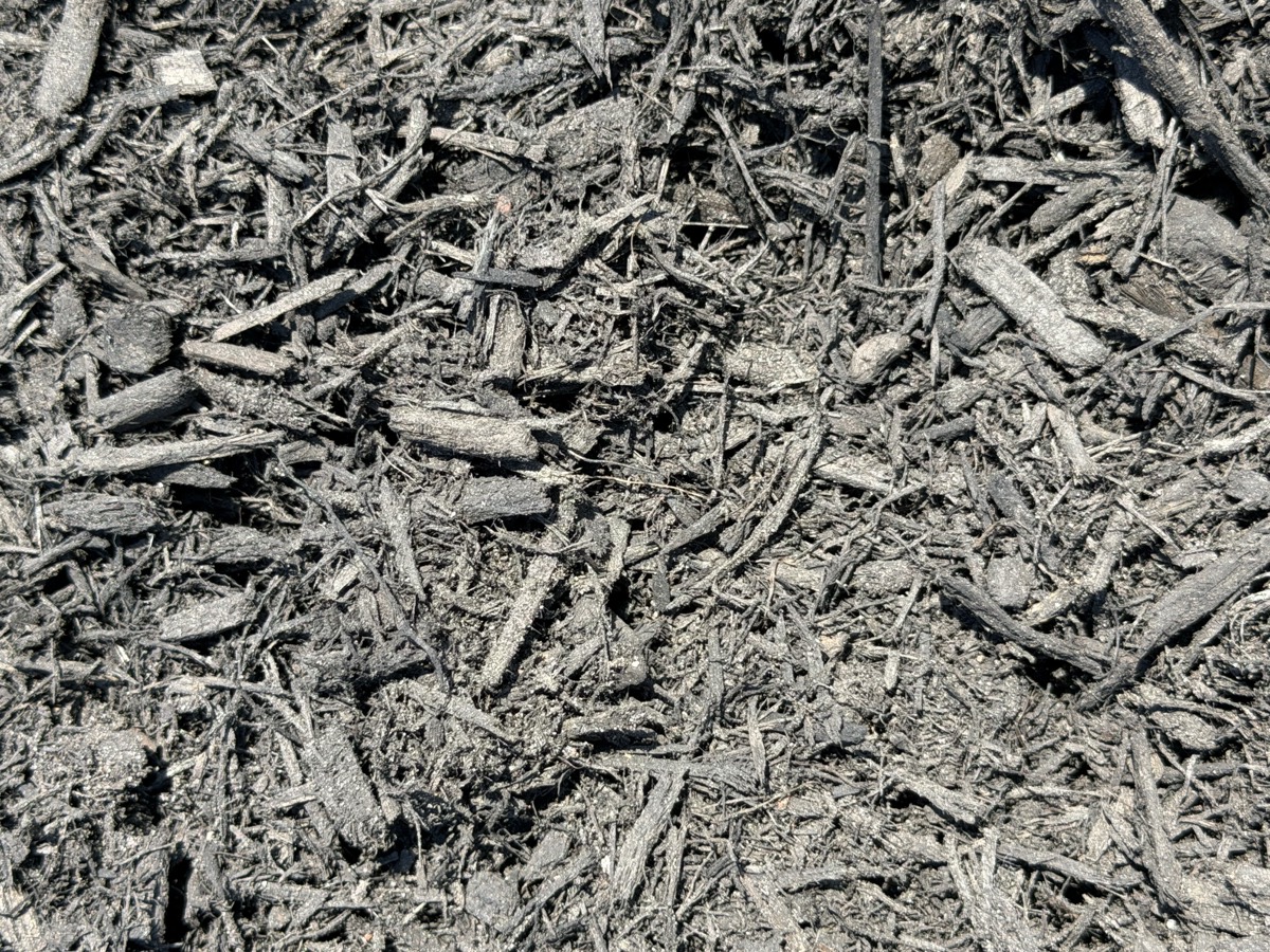 Black mulch at J&J Nursery