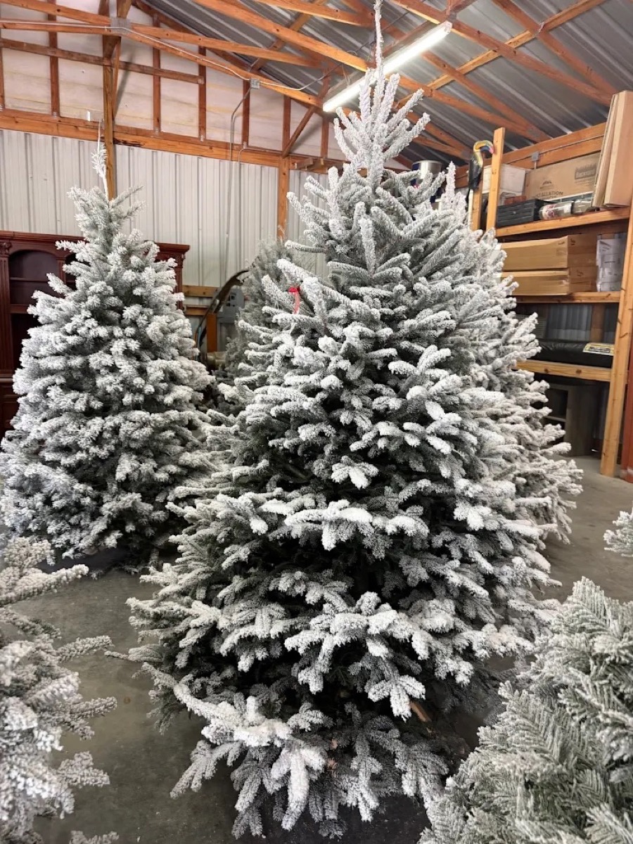 Seasonal Holiday Supplies
