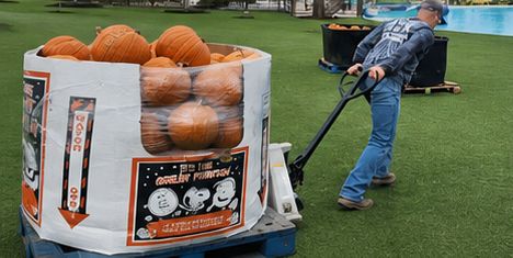 Bin of pumpkins delivered on a pallet jack