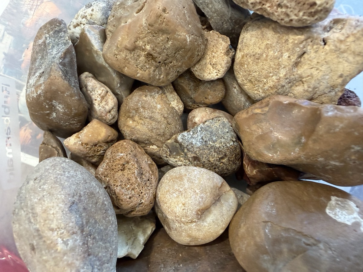 Septic Rock