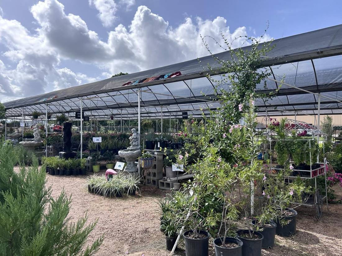 Greenhouses and plant yard at J&J Nursery in Spring, TX