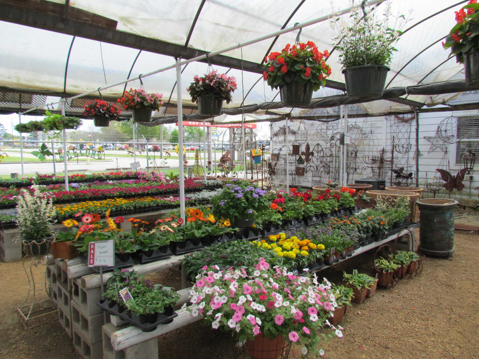 Huge variety of flowers at J&J Nursery, Spring, TX