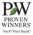 Proven Winners Plants at J&J Nursery, Spring, TX