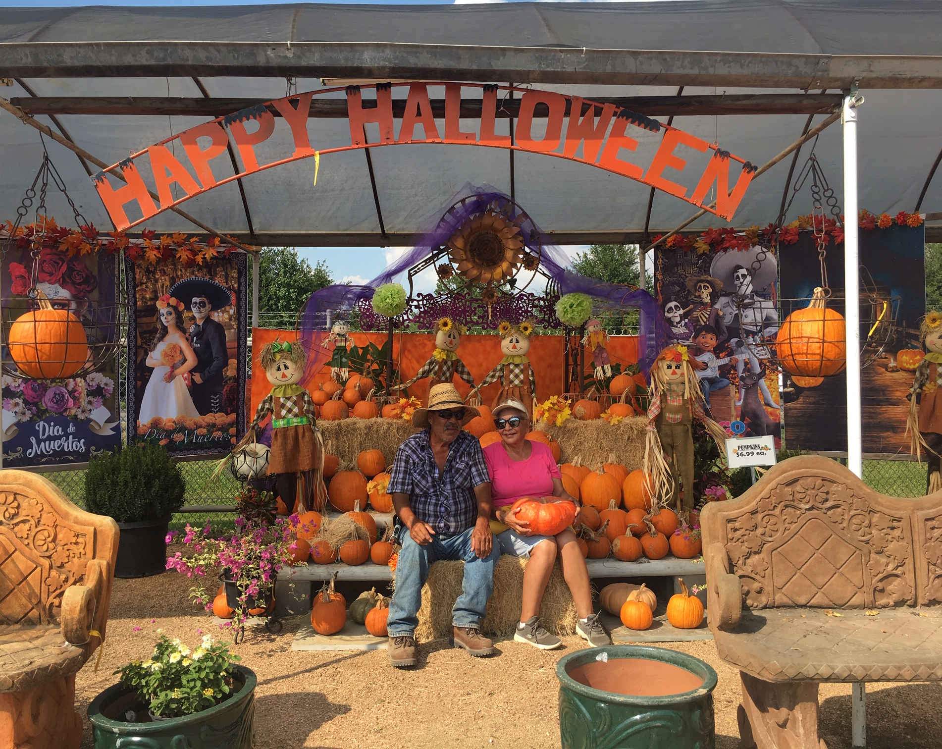 Pumpkins at J&J Nursery, Spring, TX