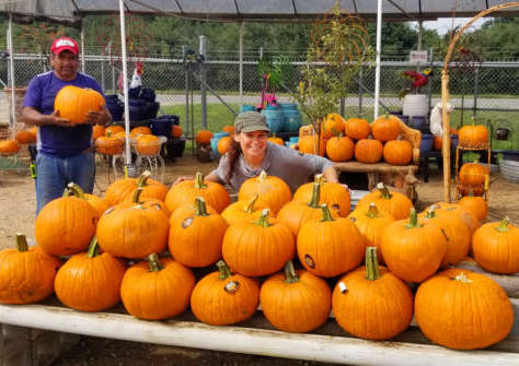 Carving Pumpkins at J&J Nursery, Spring, TX