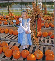 Pumpkins at J&J Nursery, Spring, TX