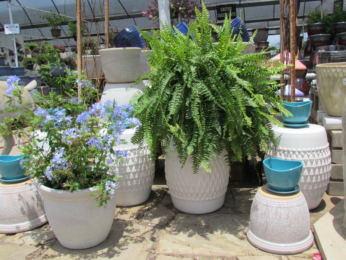 Outdoor Pottery at J&J Nursery, Spring, TX