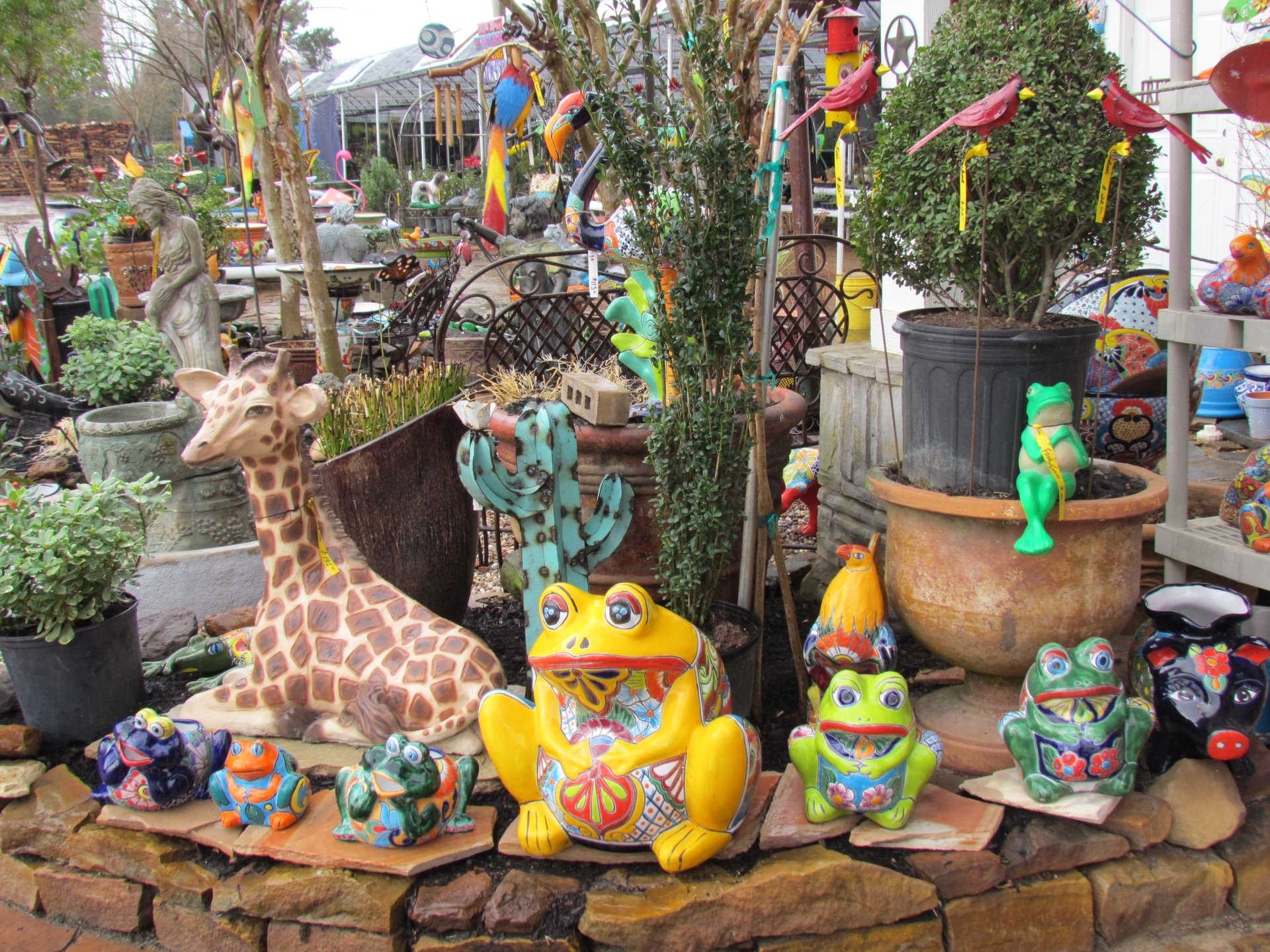 Talavera frog pottery at J&J Nursery, Spring, TX